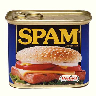 Eliminare i commenti di spam su WordPress  