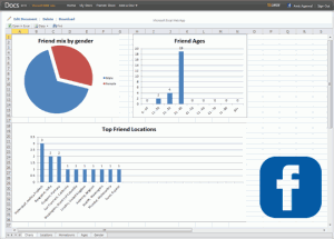 Analizza i tuoi amici su Facebook con Docs.com  