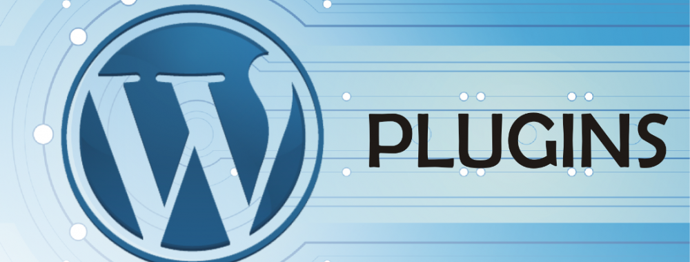 Creare un Plugin WordPress di Successo: Best Practice e Consigli  