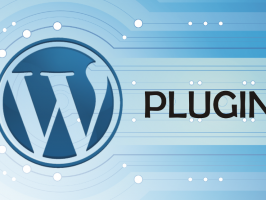 Creare un Plugin WordPress di Successo: Best Practice e Consigli  