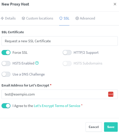 Installare Nginx Proxy Manager su Portainer e aggiungere proxy host  