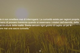 Online il sito di Flaminia Nucci  