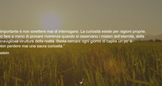 Online il sito di Flaminia Nucci  