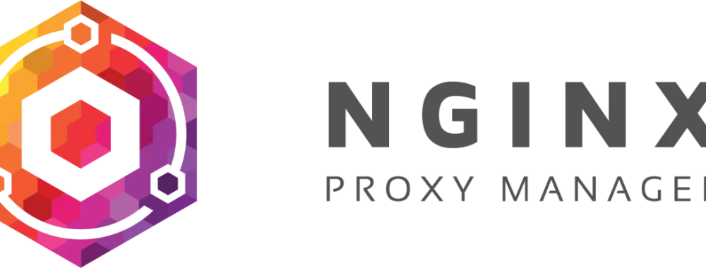 Installare Nginx Proxy Manager su Portainer e aggiungere proxy host  