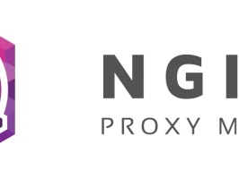 Installare Nginx Proxy Manager su Portainer e aggiungere proxy host  