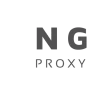 Installare Nginx Proxy Manager su Portainer e aggiungere proxy host  