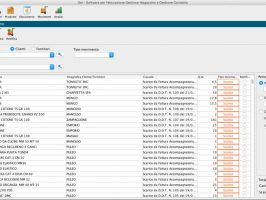 Gei software: fatturazione, gestione magazzino e gestione contabile  